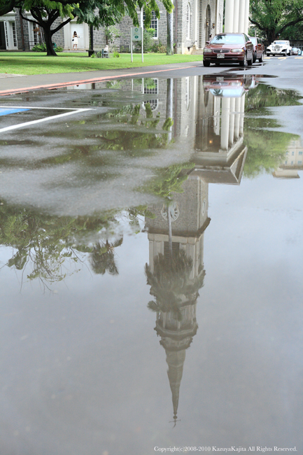 after-the-rain-2.jpg