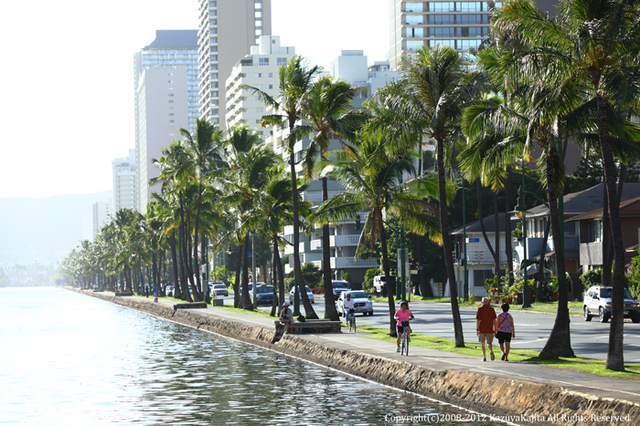 ala-wai-02.jpg