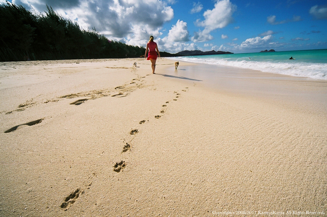 beach-and-people-2.jpg