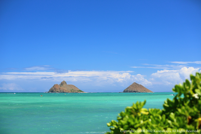 beach-lanikai-1.jpg
