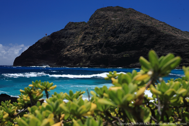blue-ocean-3.jpg