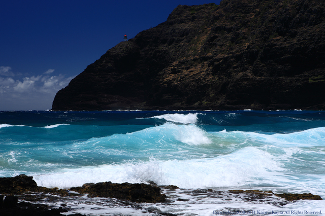 blue-ocean-4n.jpg