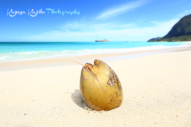 coconut1.jpg