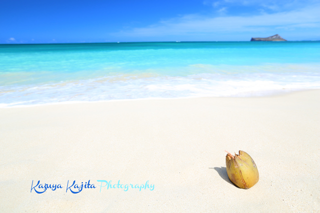 coconut2.jpg
