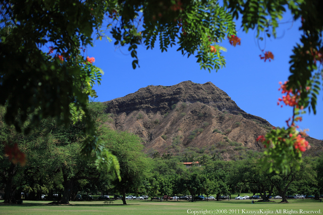 diamond-head-5.jpg