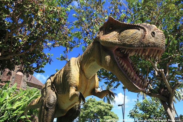 dinosaur-1.jpg