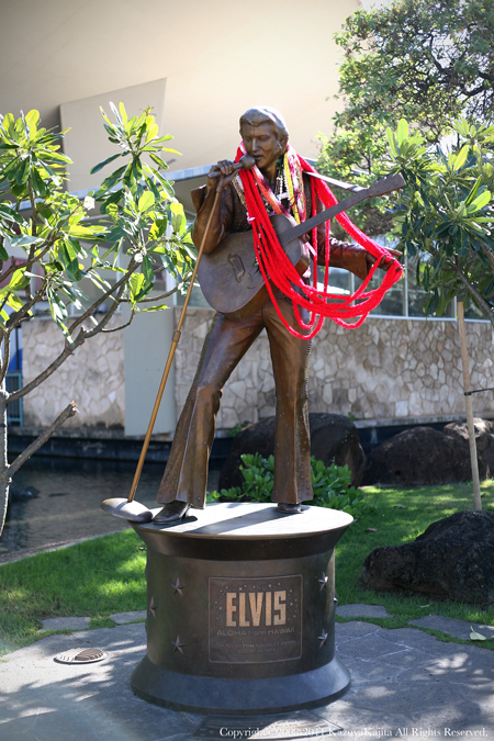 elvis.jpg