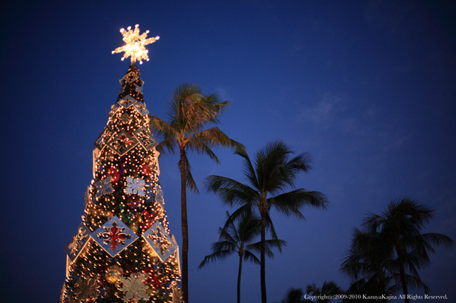 honolulu-city-lights-3.jpg