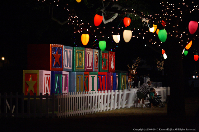 honolulu-city-lights-4.jpg