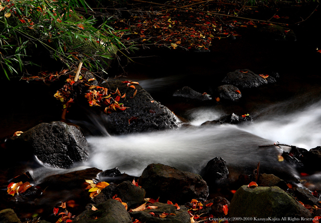 judd-trail-1.jpg