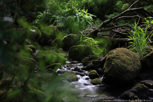 judd-trail-5.jpg
