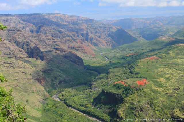 kauai-2.jpg