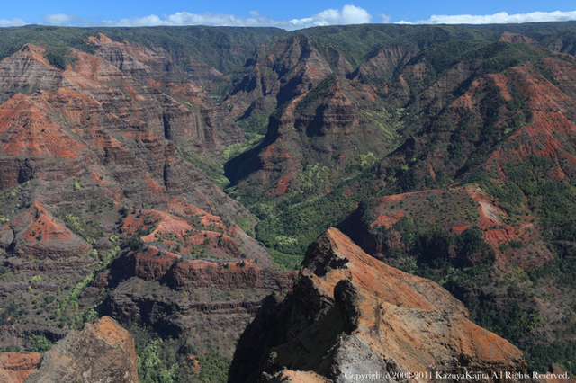 kauai-3.jpg