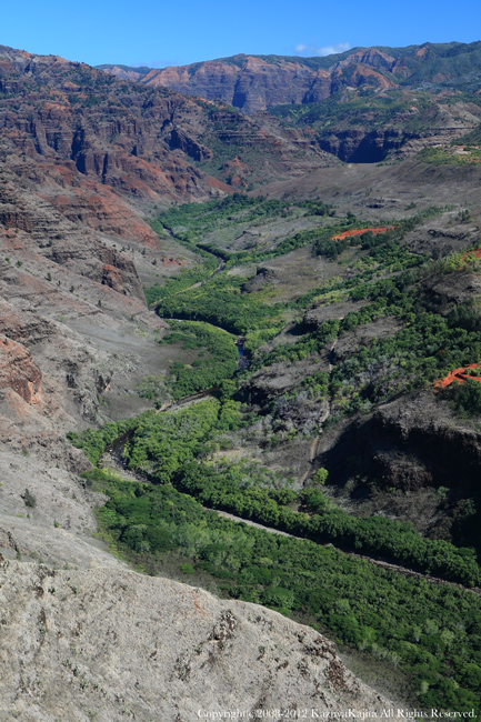 kauai-4.jpg