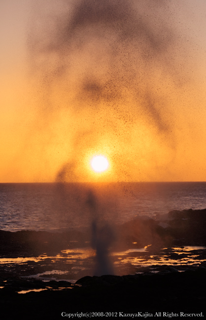 kauai-6.jpg