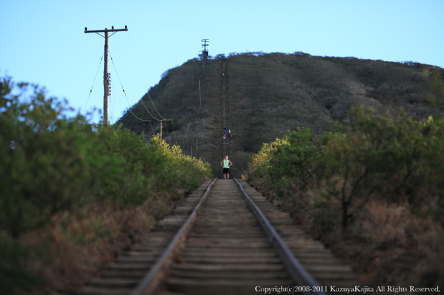 koko-head-3.jpg