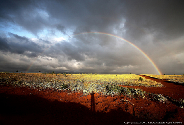 kunia-rainbow-1.jpg