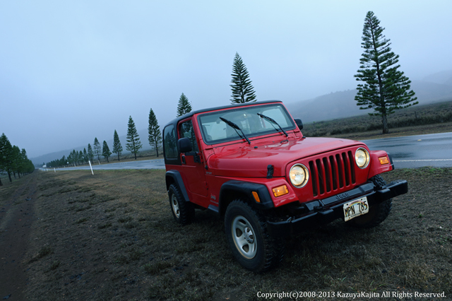 lanai-02.jpg