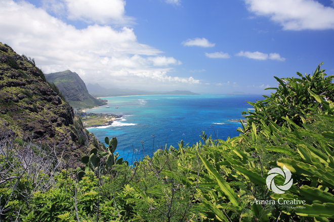 makapuu014.jpg