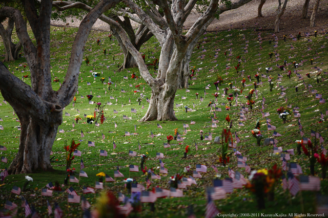 memorial-day-5.jpg