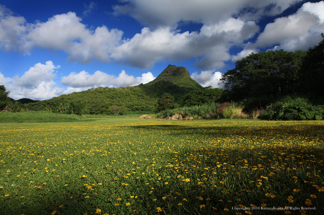 mt-olomana.jpg
