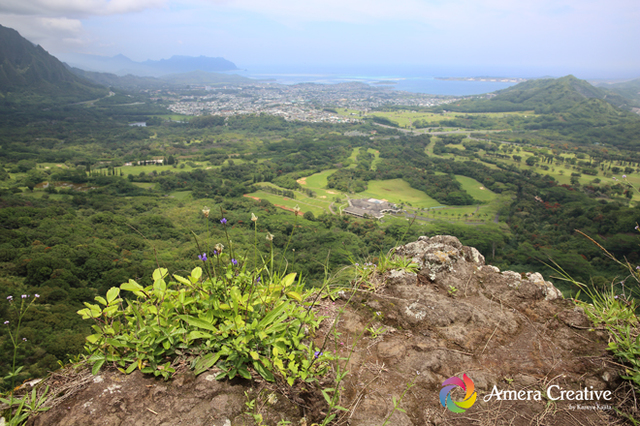 pali-look-out-1.jpg