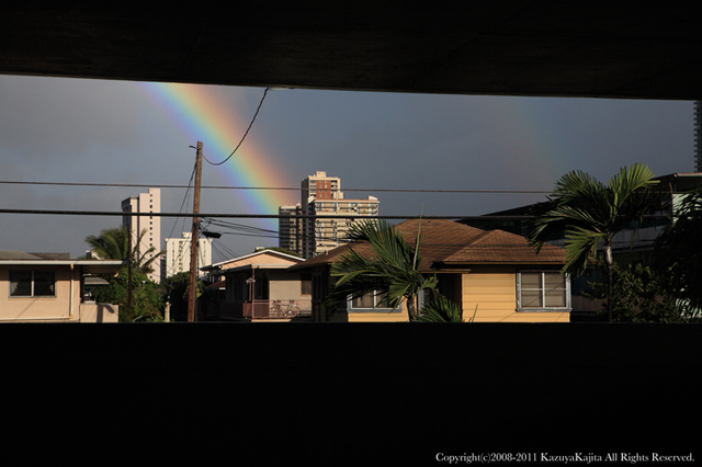 rainbow-4.jpg