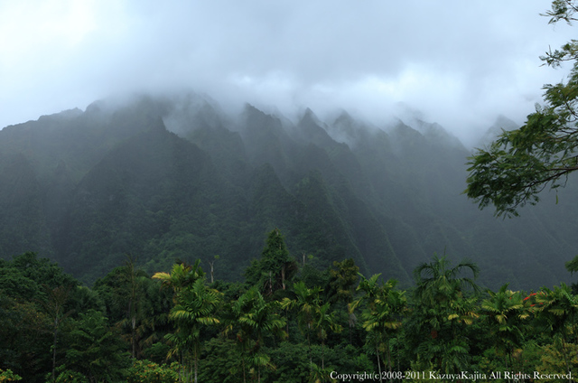 rainy-mountain-1.jpg