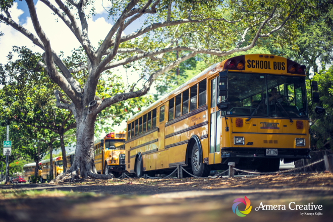 school bus 02.JPG
