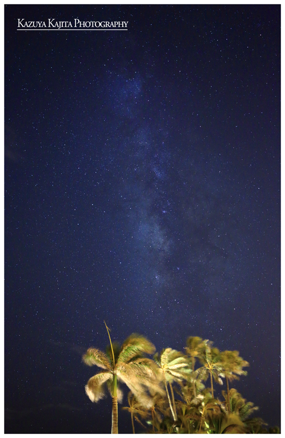 waialae-night-1.jpg
