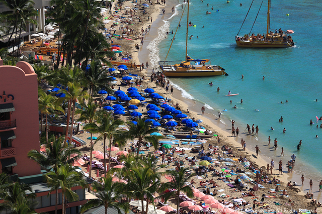 waikiki-1.jpg
