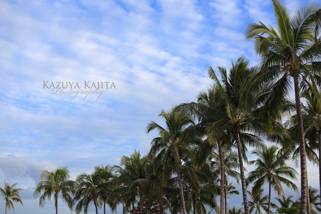 waikiki03162013-1.jpg
