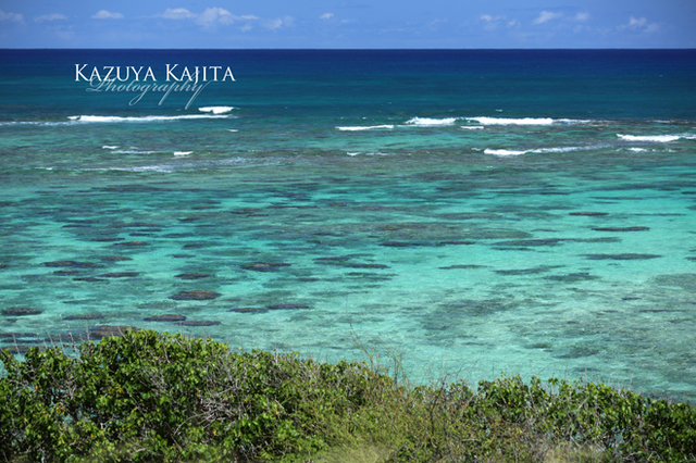 waimanalo-blue-4.jpg