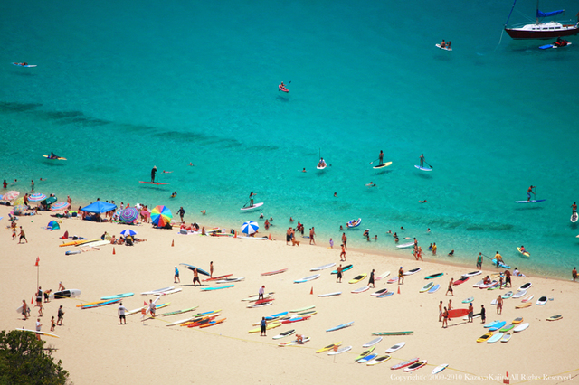 waimea-beach.jpg