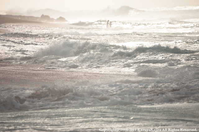 wave-1.jpg