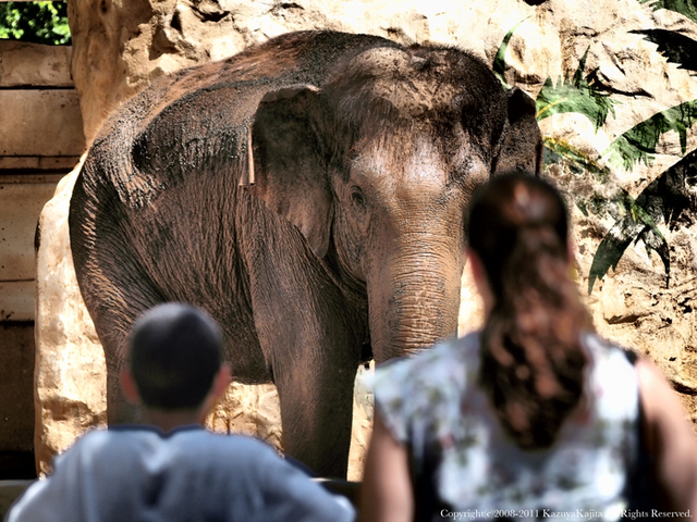 zoo1.jpg