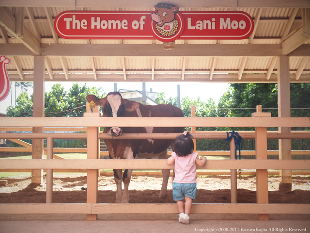 zoo4.jpg