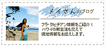 メイさんのブログ