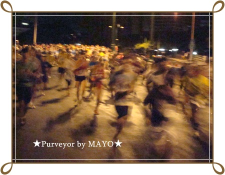 hm2011 (3).jpg