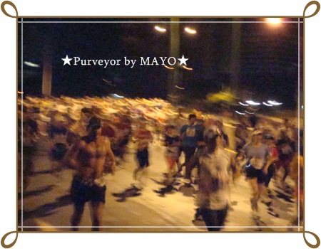 hm2011 (4).jpg
